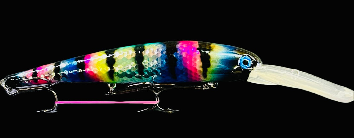 Gator Erie Slammer - Erie Rainbow image