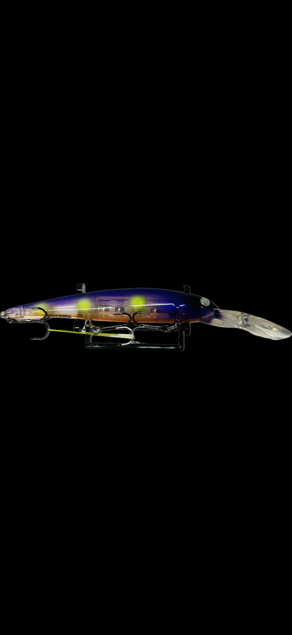 Deep Bandit - purple orange belly image