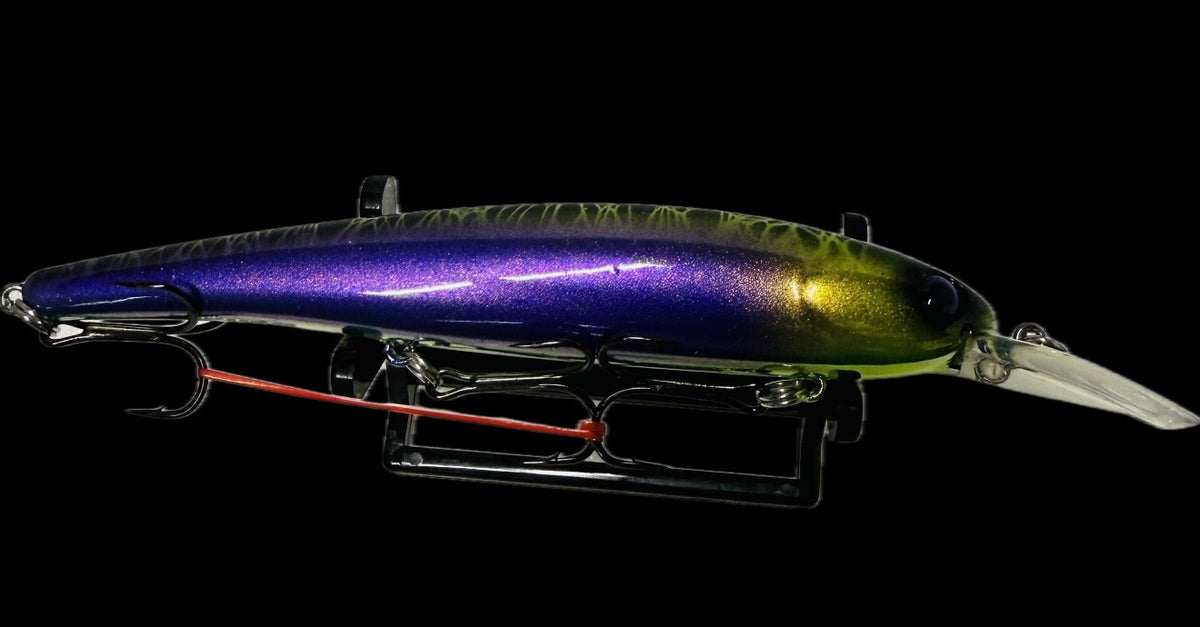 Shallow Bandits - Purple fever image