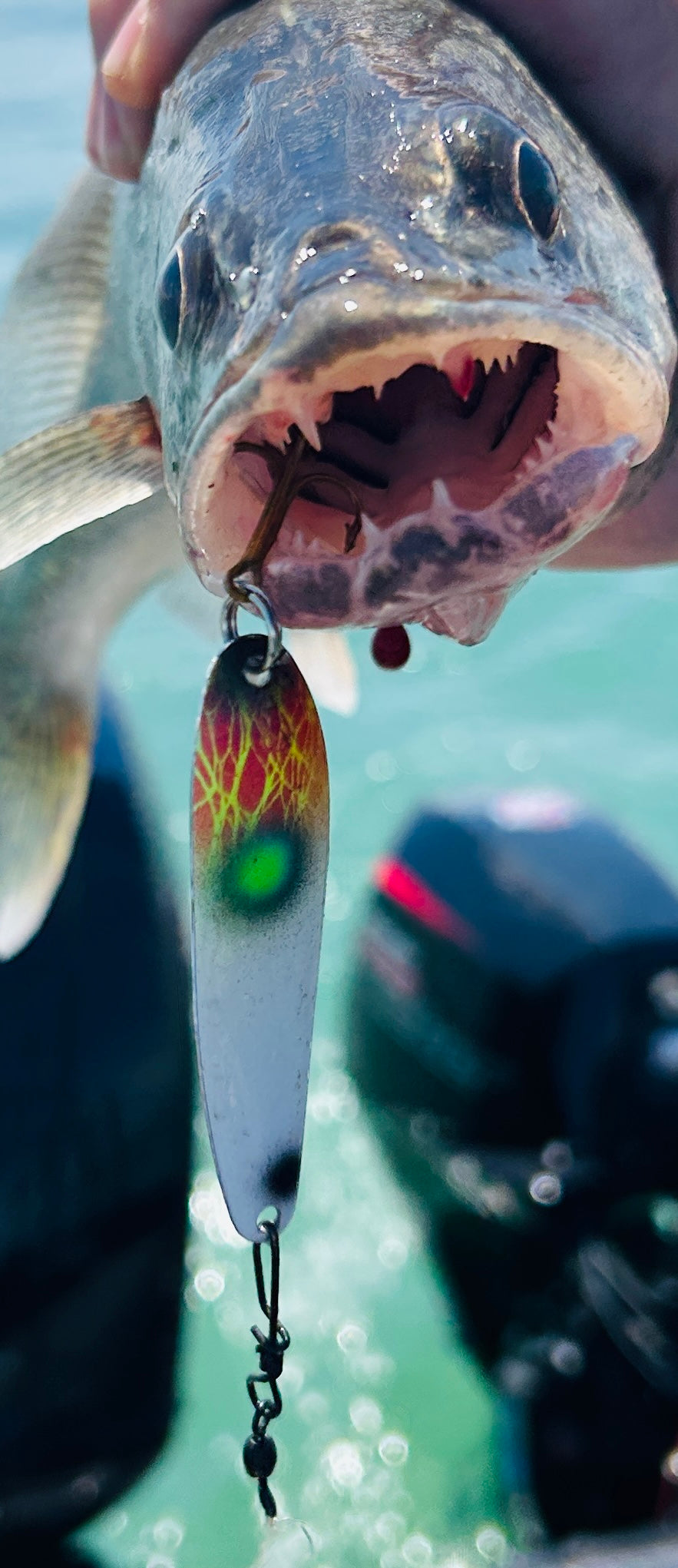 Maynard Spoon Walleye Edition image 0