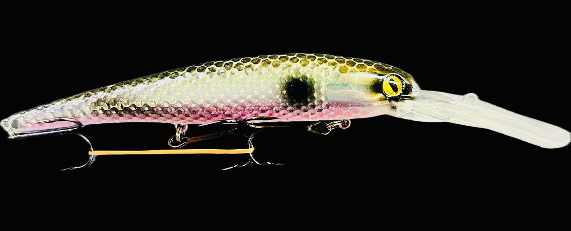 Gator Erie Slammer - Razfin image
